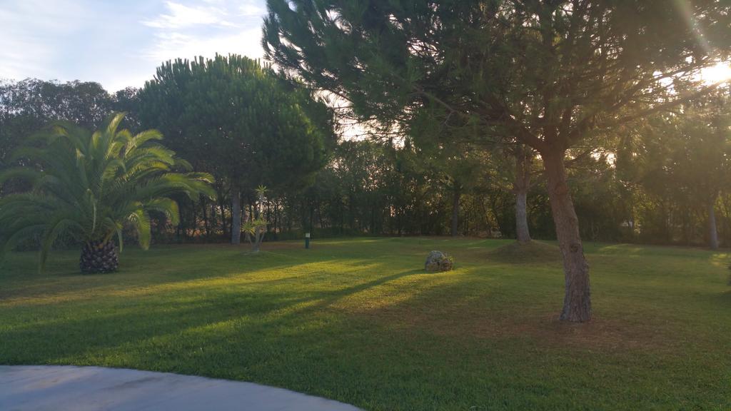 Apartamentos Clube Da Bemposta Alvor Phòng bức ảnh